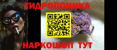 спиды Обь