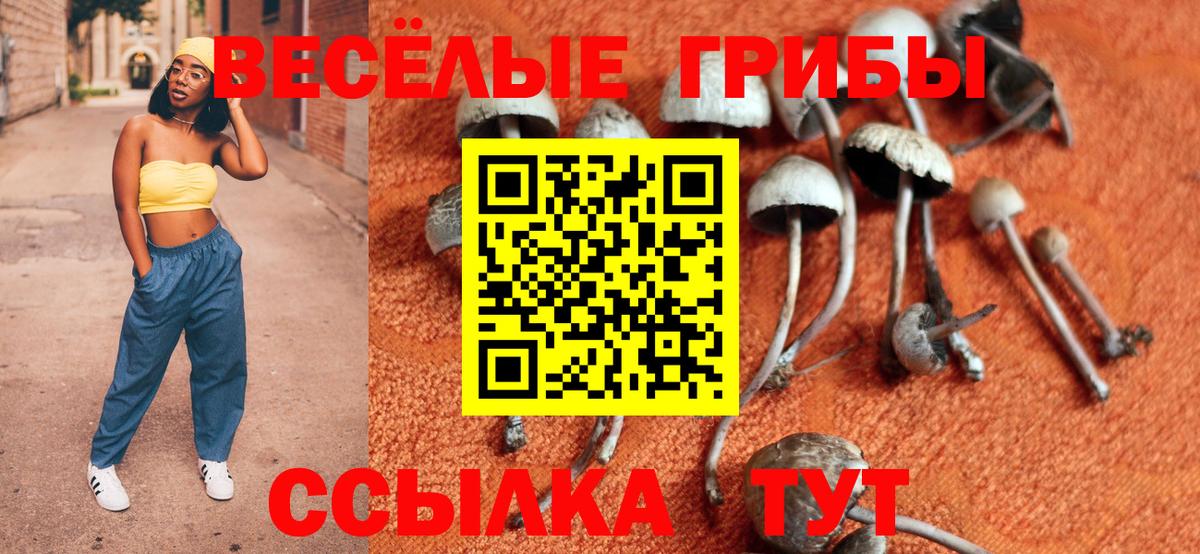 Галлюциногенные грибы мицелий Сорочинск