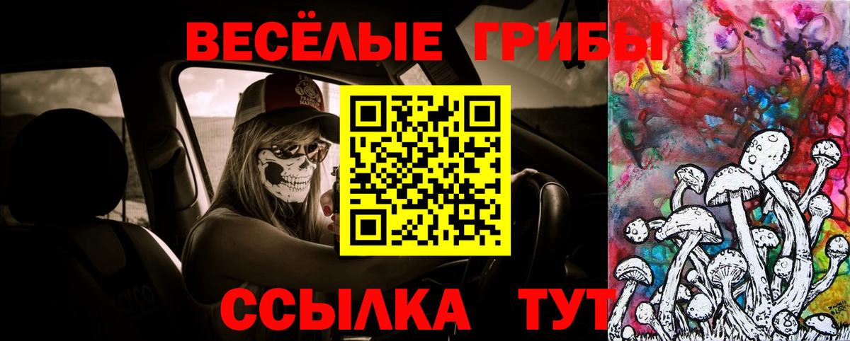 закладки  Галлюциногенные грибы прущие грибы  Вход с VPN  Сорочинск 